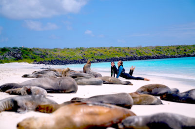 Galapagos Islands Tours: Pahoehoe Galapagos Tours